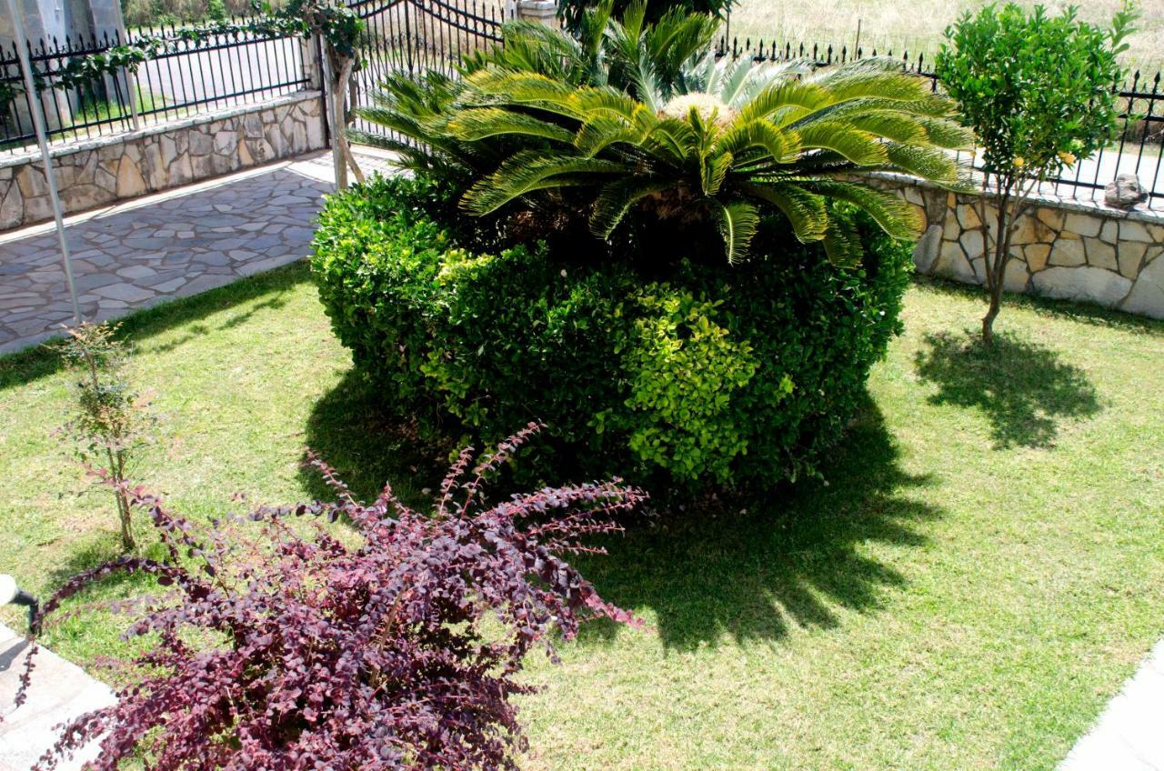 Amalias Place ميتيكاس المظهر الخارجي الصورة